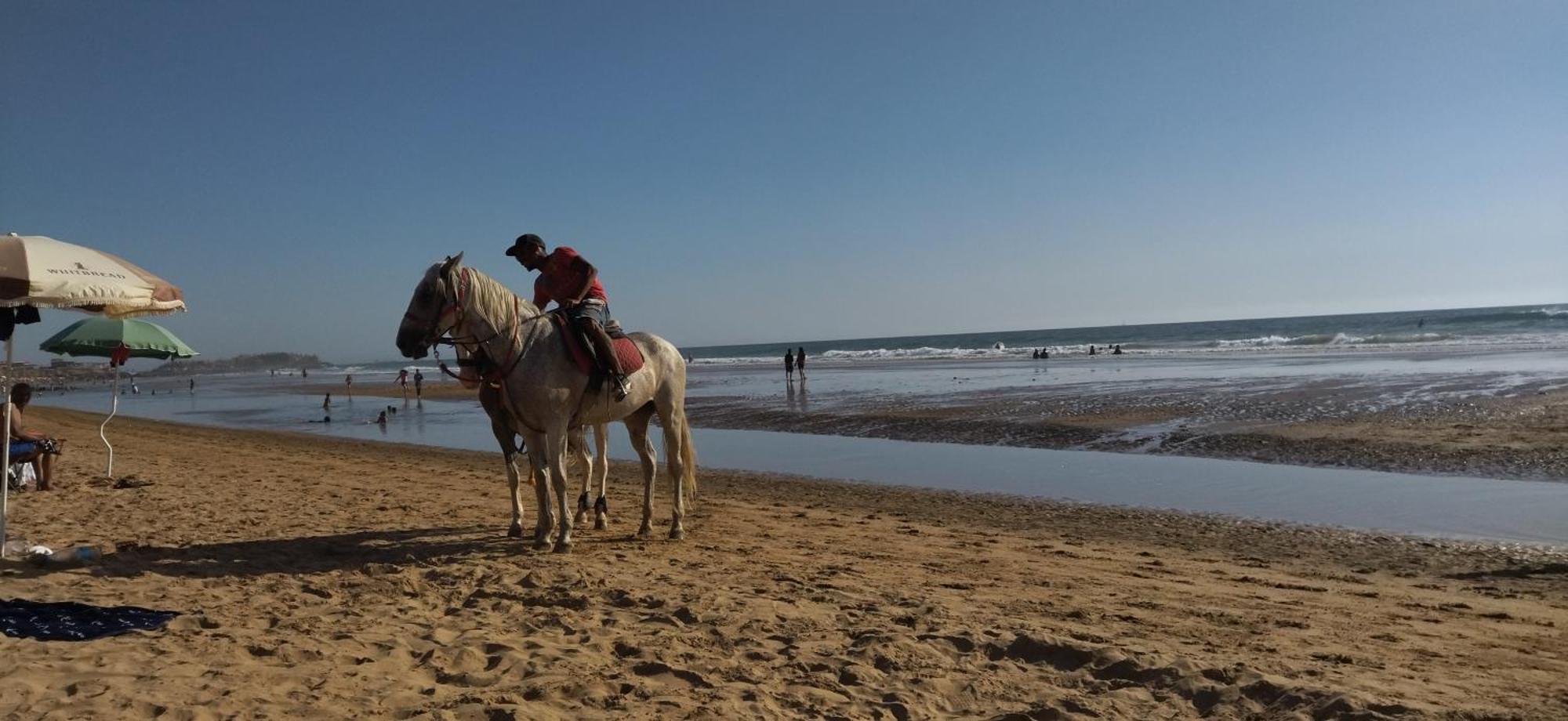 Appart Oubaha Tamrakht Taghazout アガディール 部屋 写真